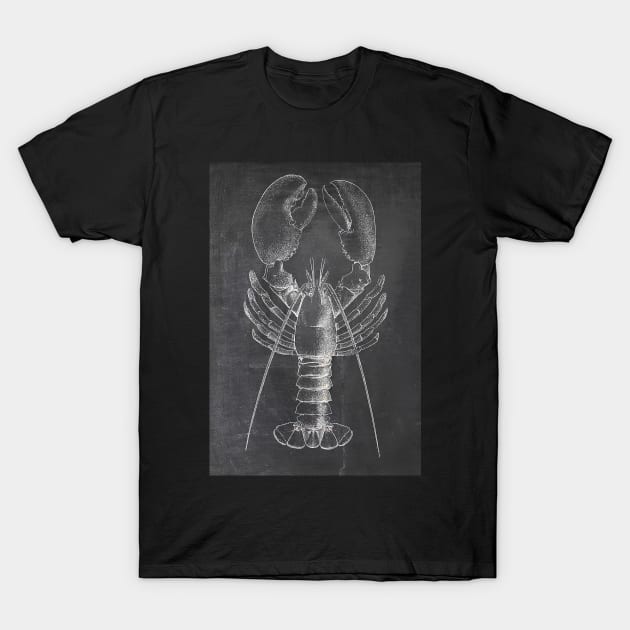 Lobster Chalkboard T-Shirt by JoolyA